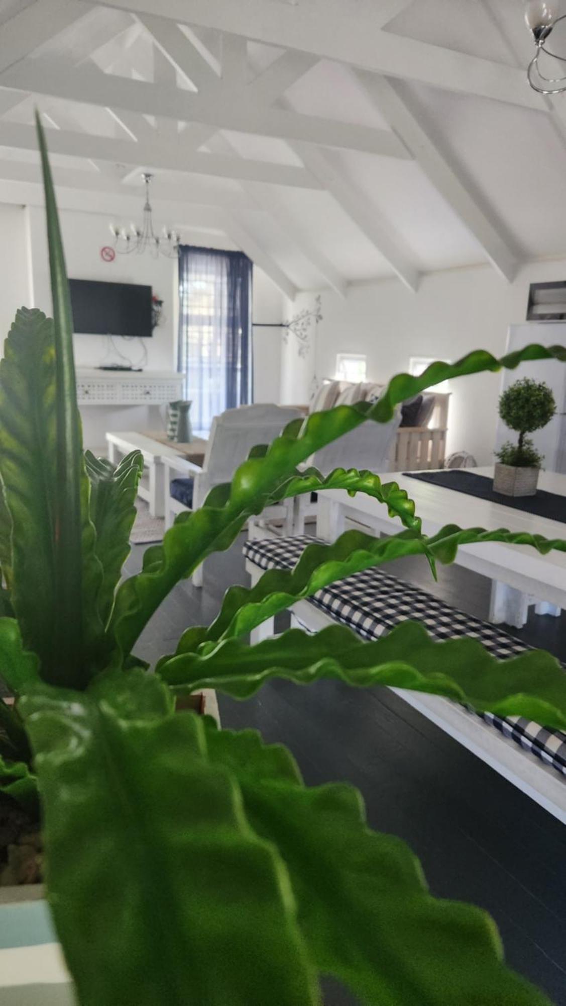 Апартаменти Be Our Guest Self Catering Mbombela Номер фото